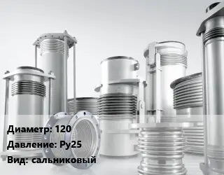 Компенсатор 120 Ру25 сальниковый
